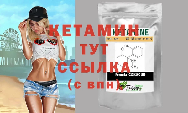 мет Инта
