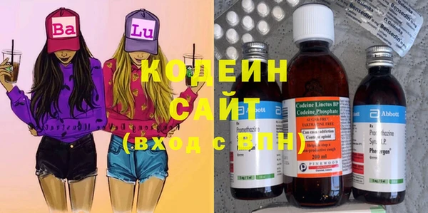 мет Инта