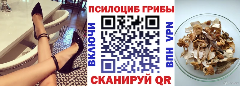 Купить где  Западная Двина  Псилоцибиновые грибы ЛСД 